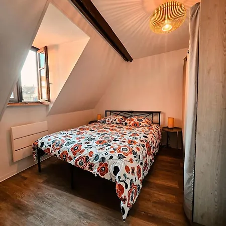 Joli T2 Centre Historique De Miluza